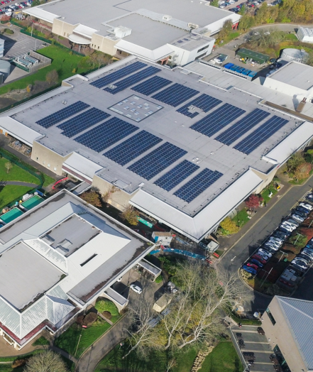 Sustainable Construction